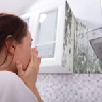 Mold Inspection